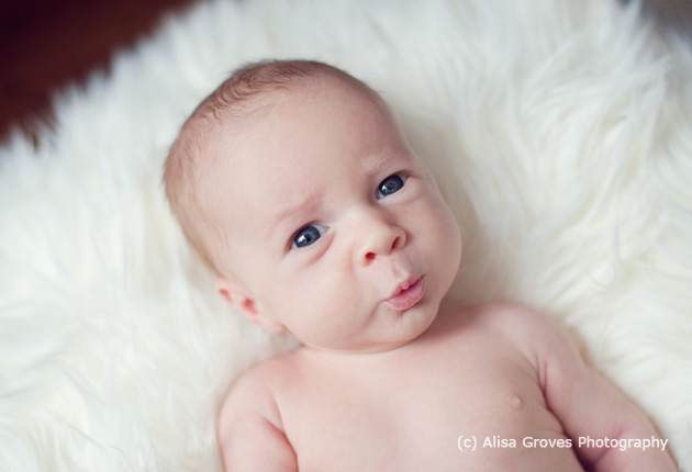 Session Share - 5 Week Old Baby - National Association of professional ...