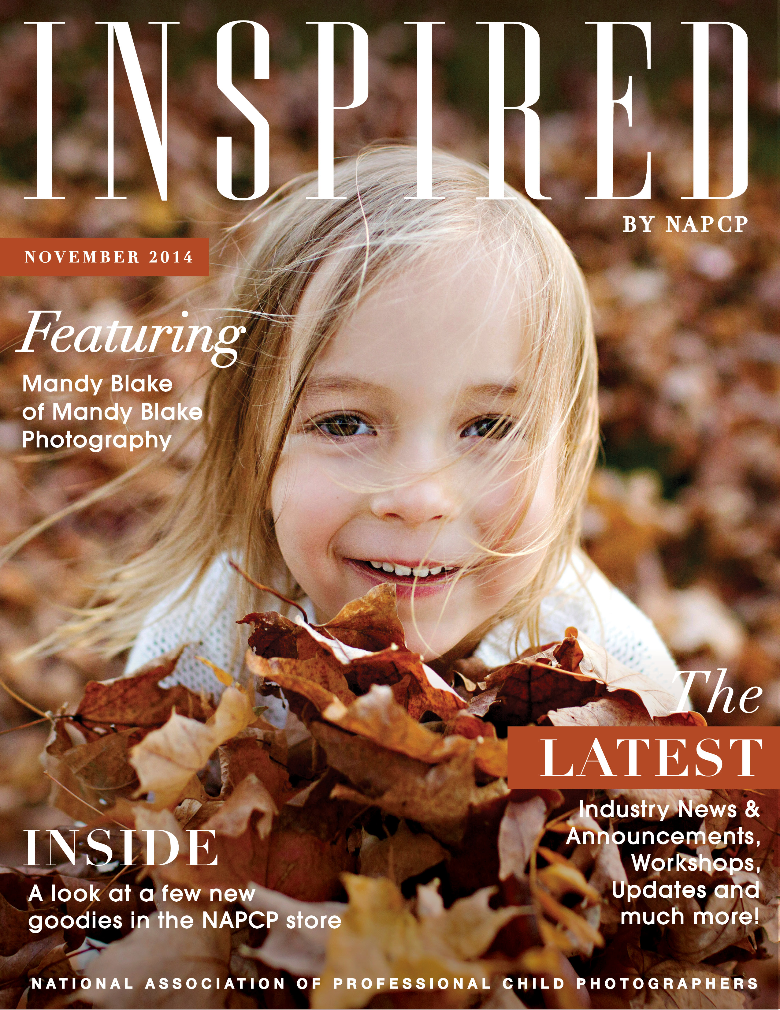 November Newsletter cover